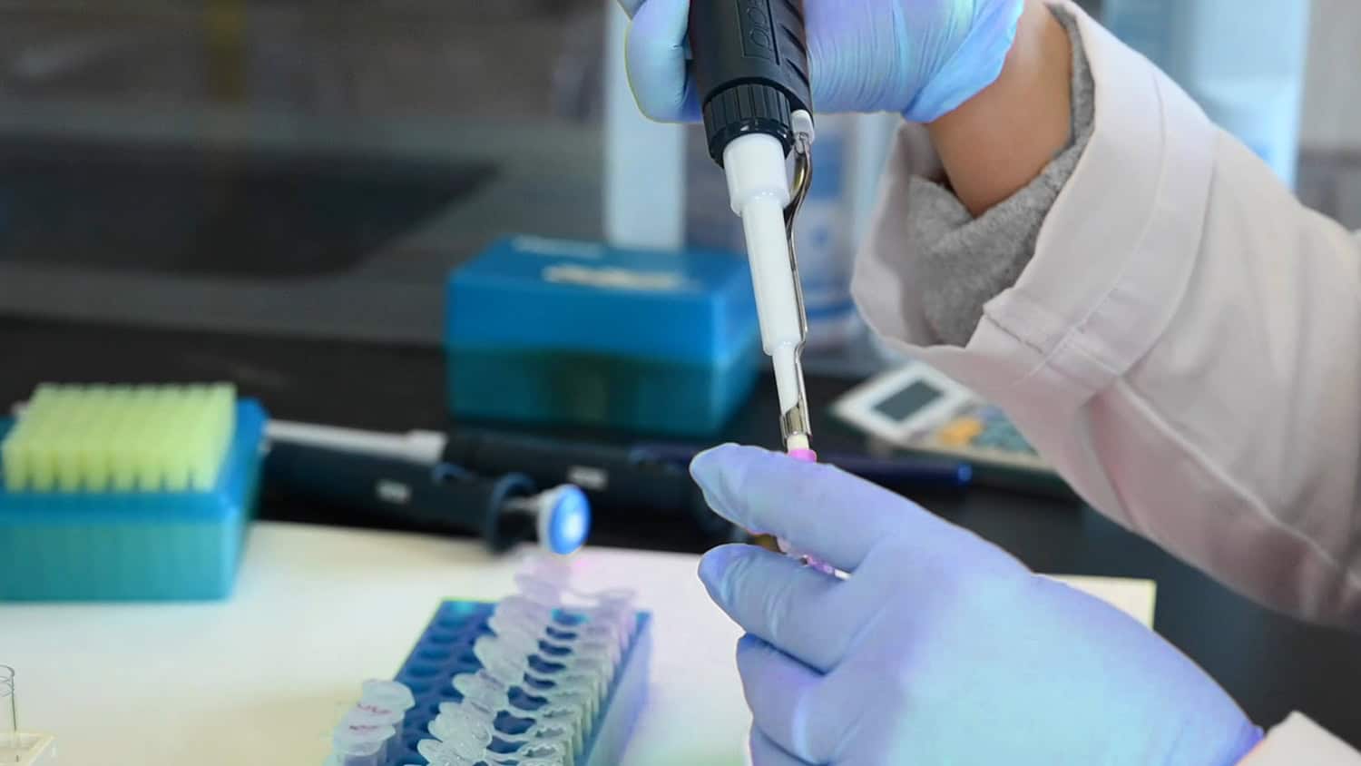 Immunostep cierra una ronda apoyo Alentia Capital Alternativo