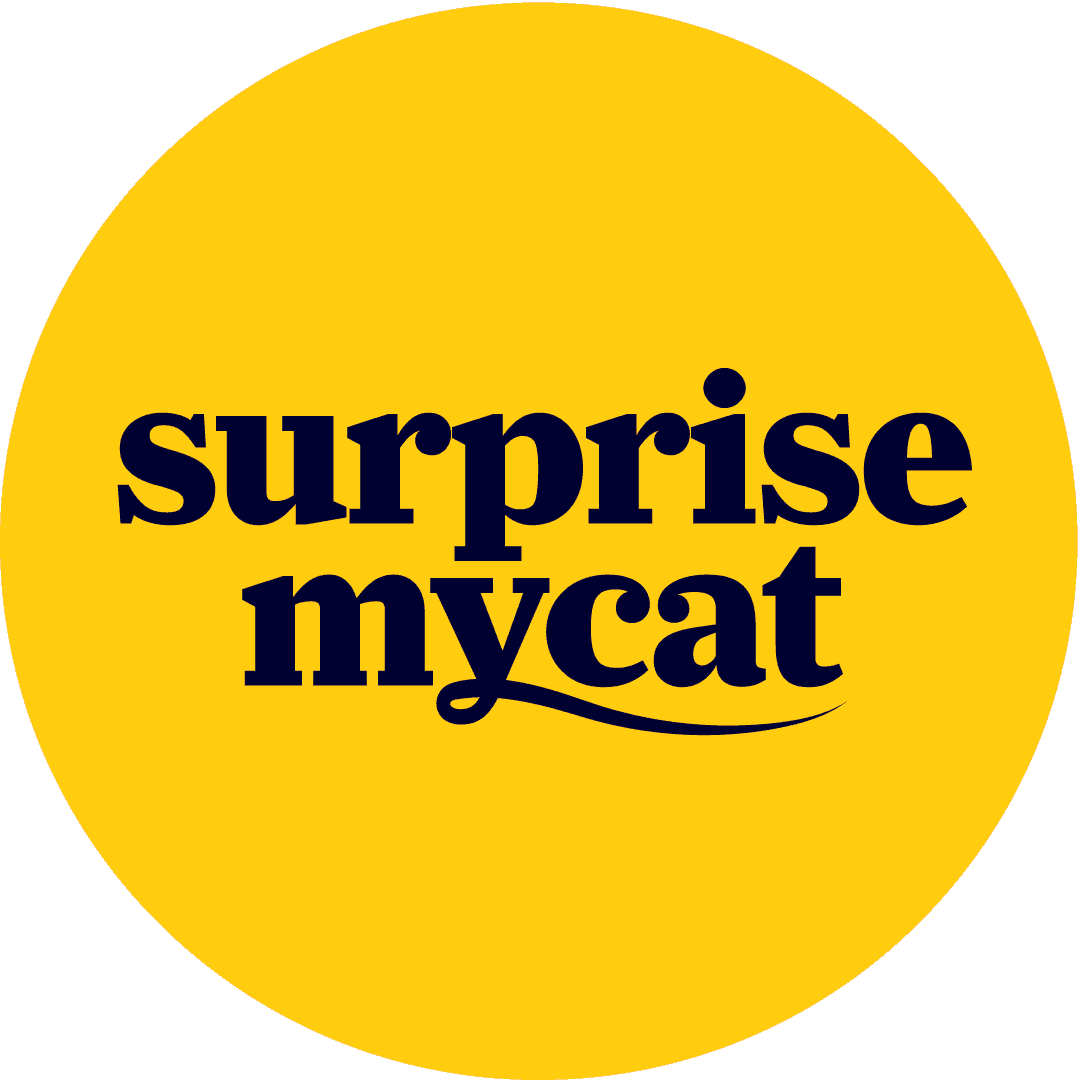 Surprise My Cat