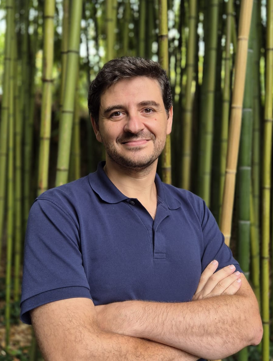 Ravenwitts, predicción de producción de energía renovable
