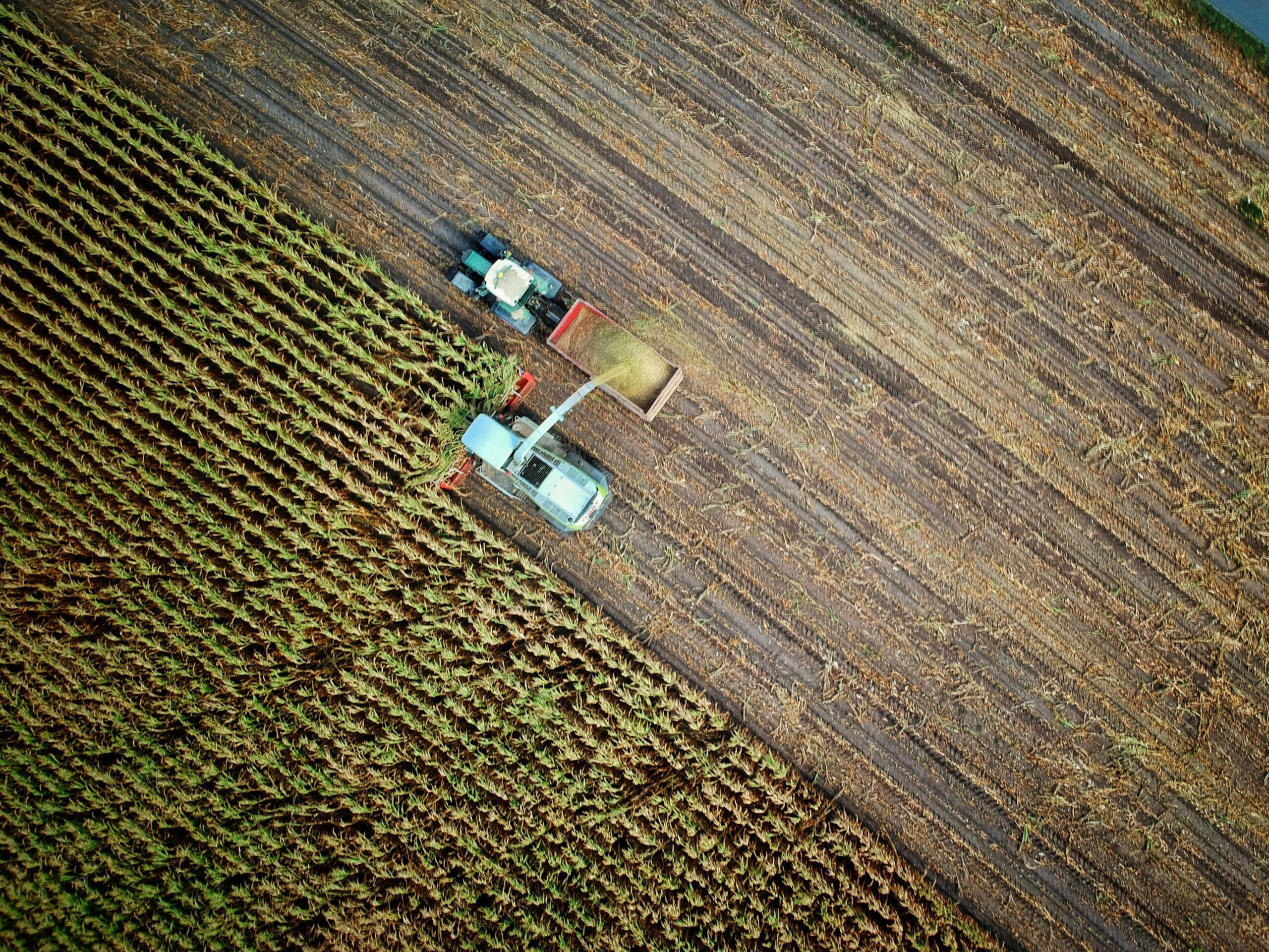 El Gobierno amplía en 15 millones de euros la financiación de la línea Agroinnpulso