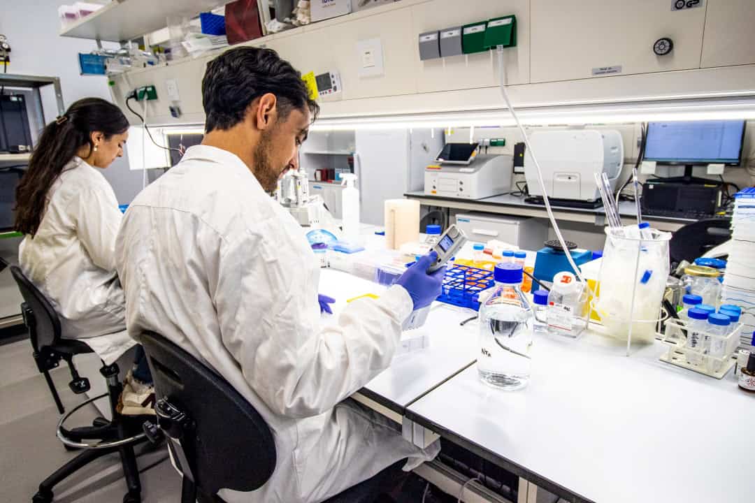 Nuage Therapeutics obtiene 2,7 milllones de euros para el desarrollo de una terapia pionera frente al cáncer de pulmón más agresivo