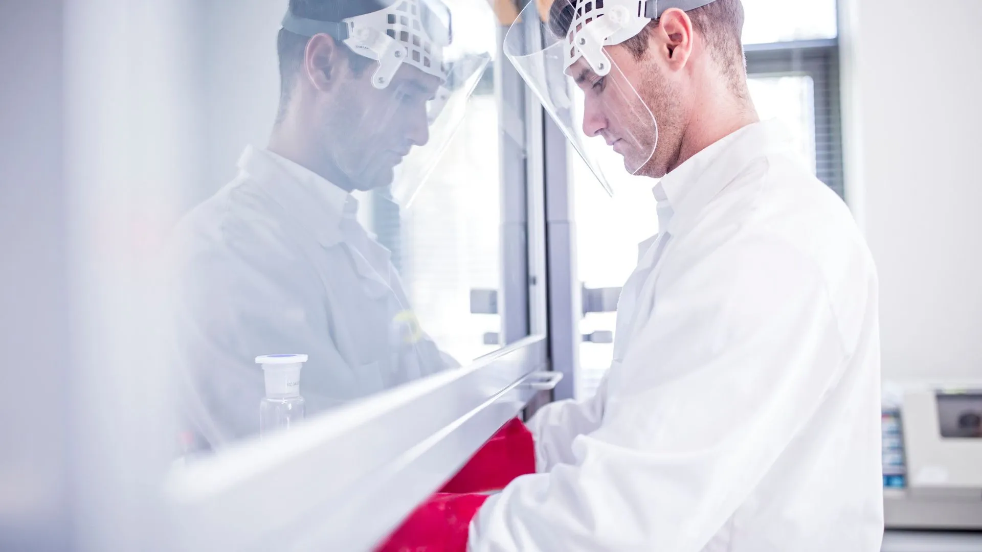 Delox recauda 1,6 millones para eliminar hongos en laboratorios de Europa y Estados Unidos