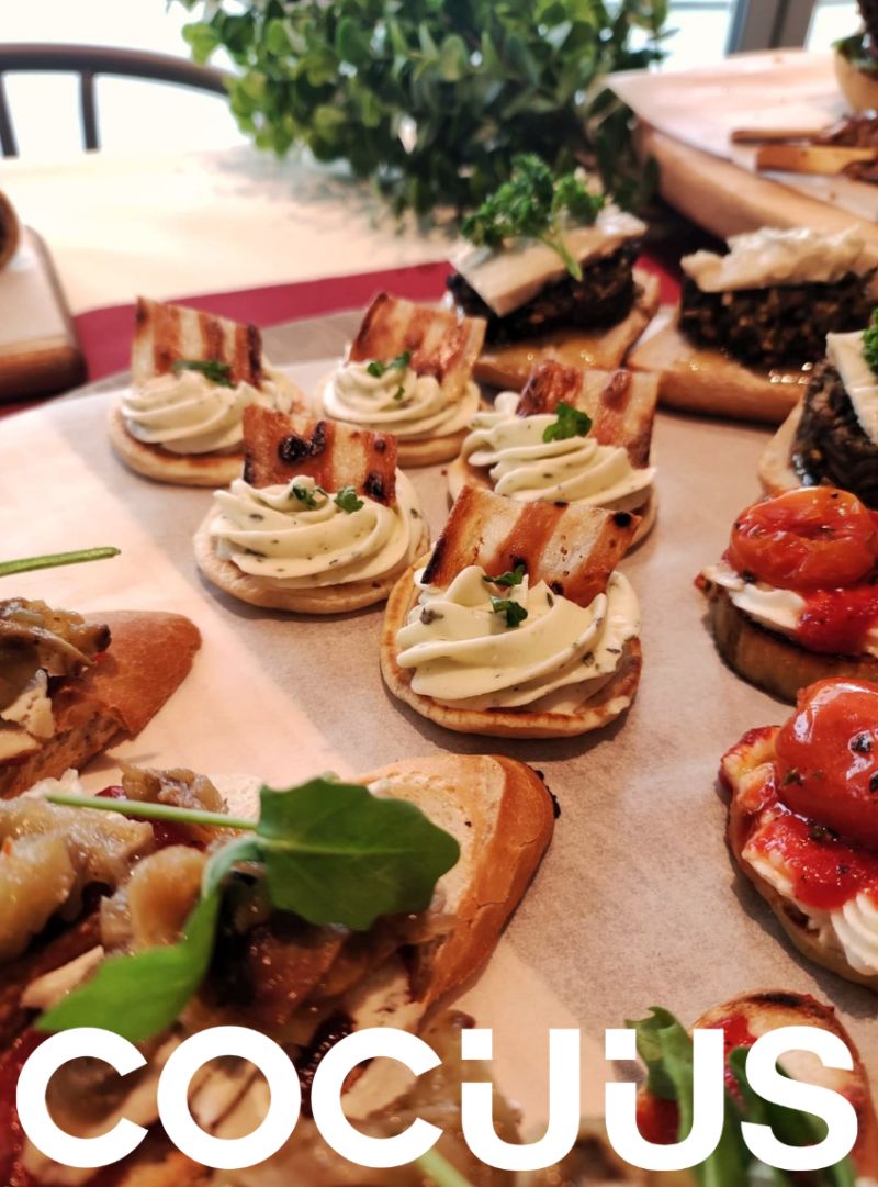 Cocuus capta 3 millones para impulsar su expansión internacional en proteínas impresas en 3D