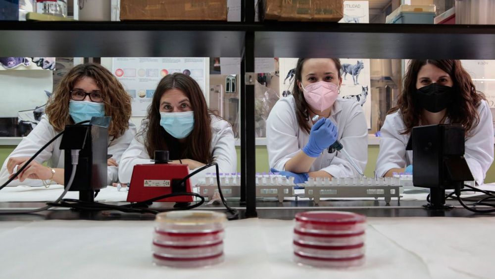 Clave Capital anuncia la desinversión en la compañía biotecnológica especializada en salud animal Aquilón 