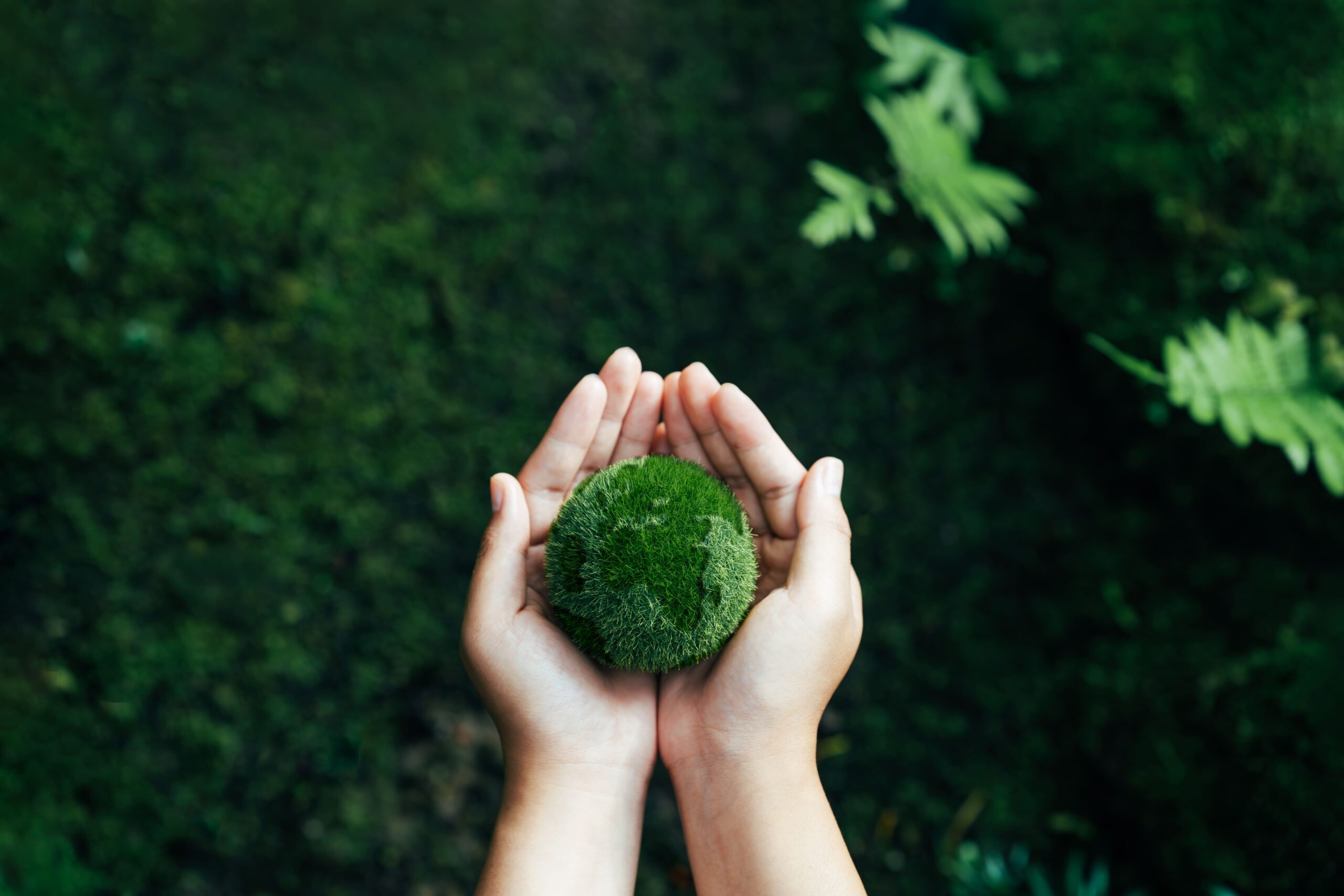 Startups por el Clima moviliza al ecosistema startup para acelerar soluciones frente a la emergencia climática