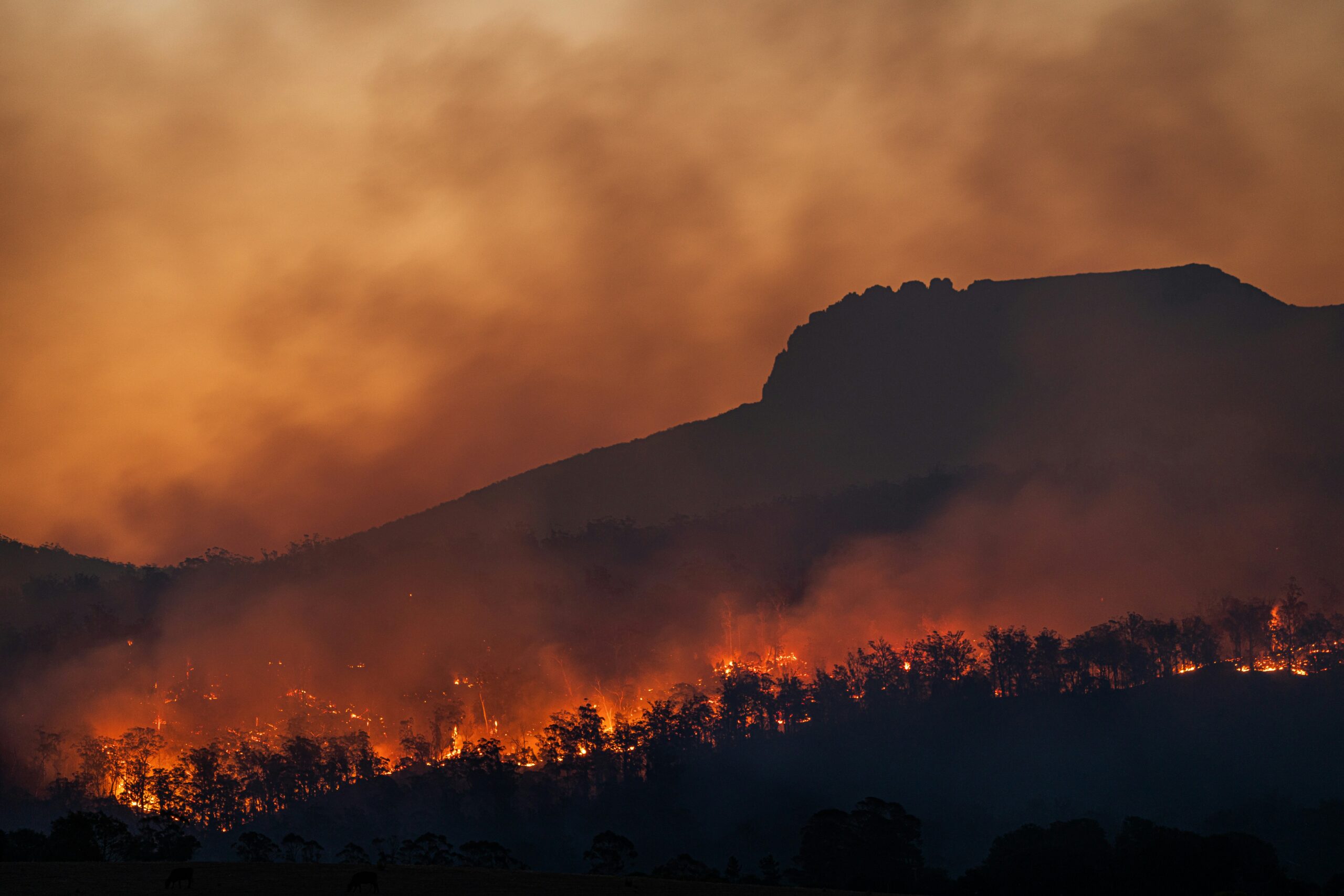 La tecnología española que planta cara a los incendios