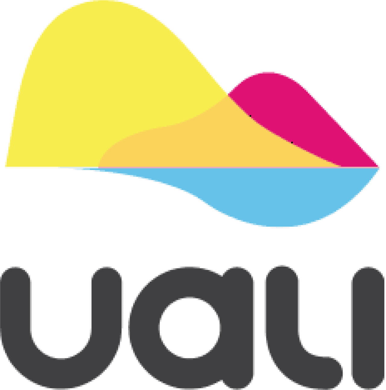 Uali Drones
